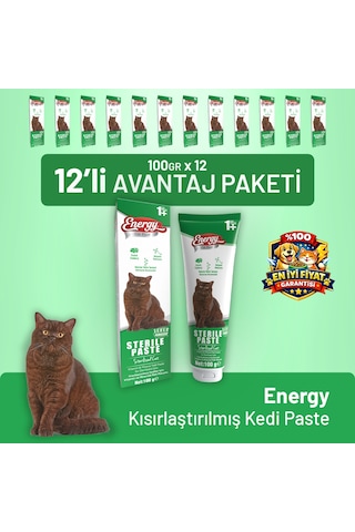 Kısırlaştırılmış Kedi Paste 100 G - 24 Adet
