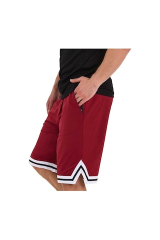 Adams Erkek Polyester Beyaz Şeritli Basketbol Şort 001