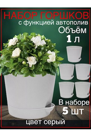 Interm Menekşeler, Sukulentler Ve Kaktüsler İçin Küçük Çiçek Saksısı 211028815