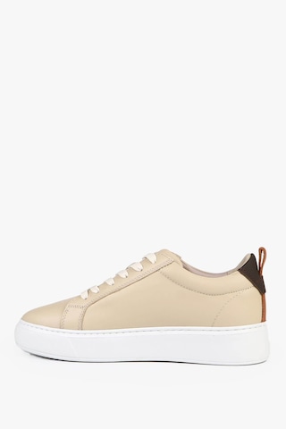 Hammer Jack Marınga Z Bej Kadın Sneaker 24340-z