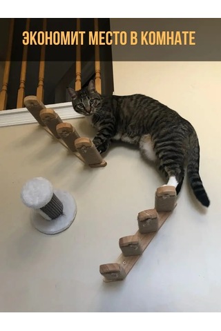 Go Cats Tırnak Törpü Merdiveni Sağ 142902982