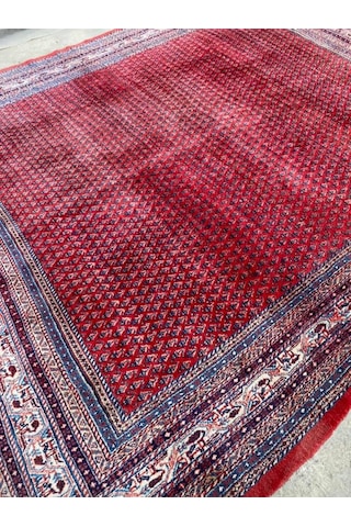 Antika Yüne Pamuk El Dokuma Sarough Iran Halısı 3X3,60M