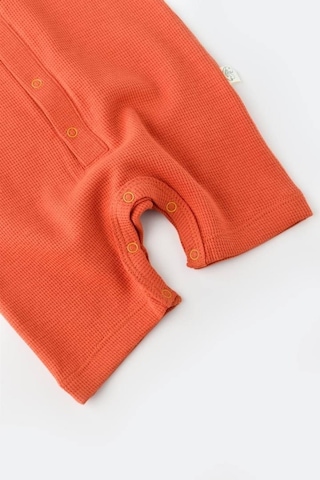 BabyCosy Kısa Kollu Tulum Csyw1015 001