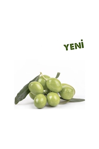Tüplü Aşılı Içi Doldurulabilen Sarı Ulak Zeytin Fidanı