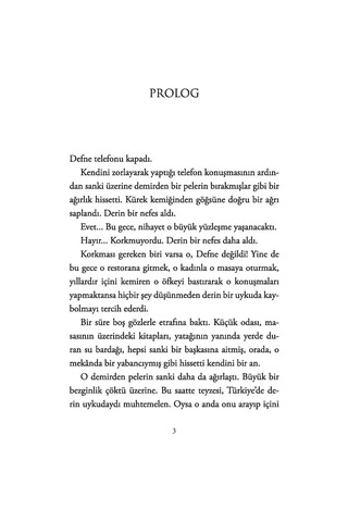 Üç Kız Kardeş - İclal Aydın - Artemis Yayınları