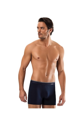 Erdem Füme-gri-lacivert -- 3'lü Basic Boxer 1491 Füme - Gri - Lacivert