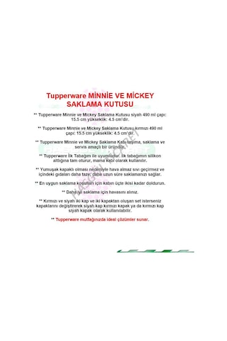 Tupperware Beslenme Kabı Minnie Mickey Saklama Kutusu Hsgl