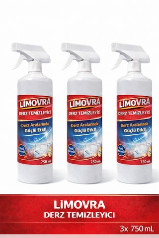 Derz Temizleyici 750ml 3'lü Set