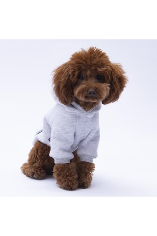 Gri Kanguru Cepli Kedi-köpek Hoodie- Sweatshirt Kedi Köpek Kıyafeti
