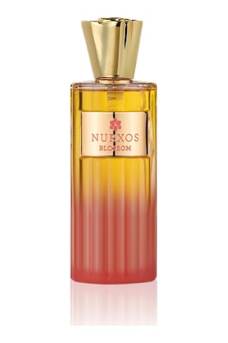 Nurxos 9842 Blossom Unisex Parfüm EDP 100 ML