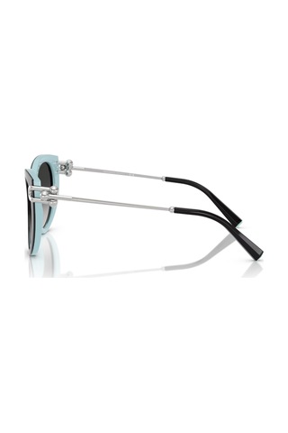 Tf 4232 80553c 53 Tiffany & Co. Güneş Gözlüğü Siyah