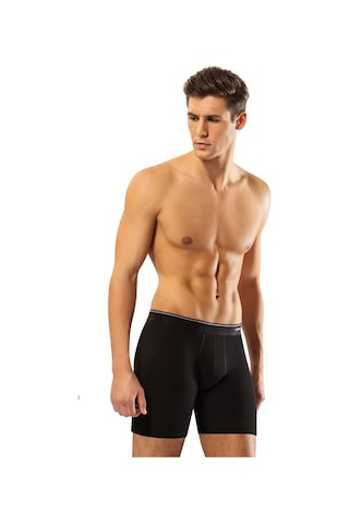 Erdem 1470 Erkek Boxer Pamuk Elastan Uzun Baksır 3'Lü Paket