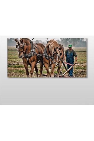 Atlar Ve Tarla Kanvas Tablo