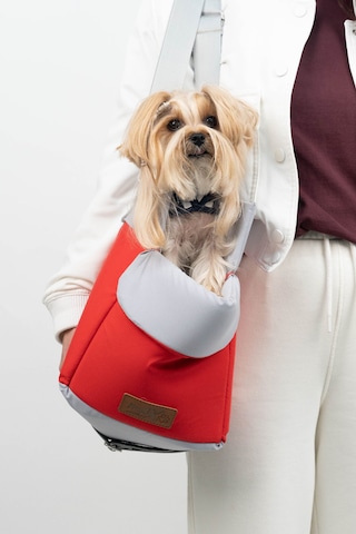 Reyo Max Design Kedi Köpek Taşıma Çantası Kırmızı Seyahat İçin Hafif Ve Hava Alabilen Evcil Hayvan Çantası