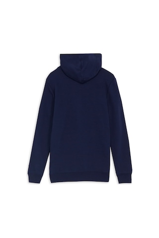 Puma Essentıals Small Logo Erkek Kapüşonlu Sweatshirt 686772 06 Mavi