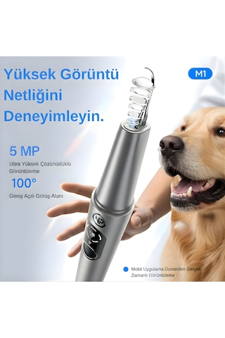 Npo M1 5mp Kameralı Uv'li 5 Modlu Ultrasonic Tartar Plak Pet Diş Temizleme Cihazı