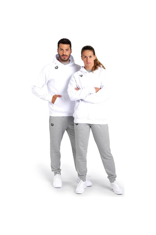 Arena Team Hooded Sweat Panel Erkek Beyaz Günlük Stil Sweatshirt 004904100 Beyaz