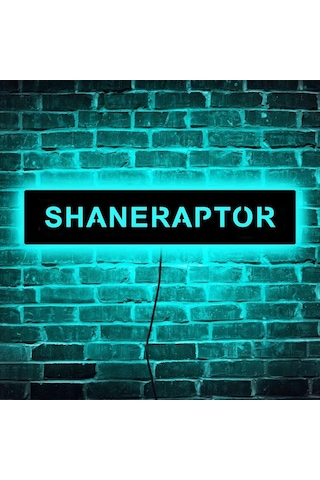 Willowhaven 1 Adet Font 19 11.81x2.36 Inch Özelleştirilebilir Oyuncu Isimli Usb Led Renk Degisen Gece Lambası Duvar Montaj Oyun Odası Hediyesi Ahşap