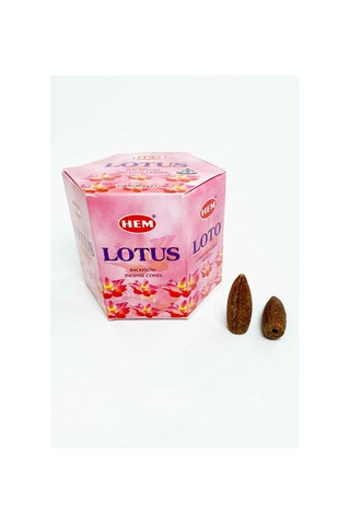 10 Adet Geri Akış Backflow Şelale Tütsü Konisi Tütsü Back Lotus Çiçeği Kokulu
