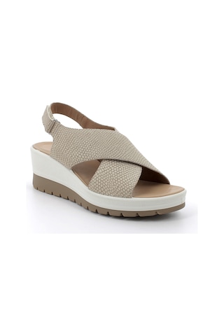 Sandalet Kadın Diğer 7664722 Igı&co Dcl 76647 Nab.st.mambo La Champagne Champagne Çok Renkli