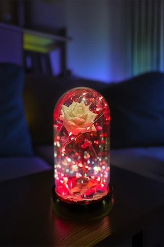Anneler Gününe Özel Beyaz Gül Kırmızı Fanus Lamba Usb'li Yapay Çiçek Dekoratif Aydınlatma Hediyelik
