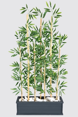 Yapay Çiçek Deposu Islak Yapraklı 7 Çubuklu Gri Saksıda Bambu Seperatör Asorti 20x70x120-155cm