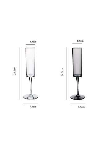 Sones 165ml Ev Tipi Akrilik Şampanya Bardakları