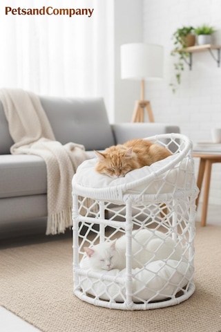 Lüks İki Katlı Kedi Evi, El Yapımı Özel Tasarım Örgü Kedi Yatağı, Modern Kedi Kulübesi Beyaz Lüks İki Katlı Kedi Evi, El Yapımı Özel Tasarım Örgü Kedi Yatağı, Modern Kedi Kulübesi Beyaz