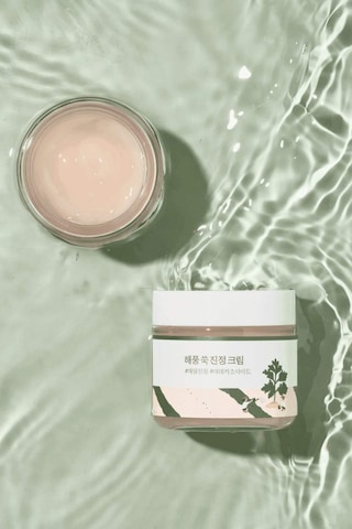Defacto Round Lab - Mugwort Calming Cream (Nem ve Hidrasyon Yükselten Kızarıklık Karşıtı Mugwortlu Krem) 80ml H1052AXNS
