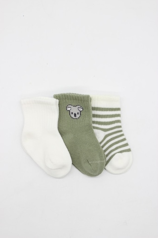 Erturkstore Koala Boy 3'lü Penye Soket Çorap 10133 Ekru Çok Renkli