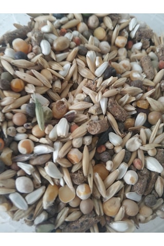 Goldmind Mix Karışım Kemirgen Yemi 5 KG