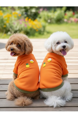 Kemique Ice Cream And Pineapple Turuncu Haki Köpekler İçin Polar Sweatshirt