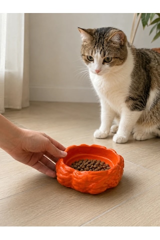 Eko Form Model Beton Kedi Köpek Mama Ve Su Kabı 16cm 16cm 5.5cm - Mor