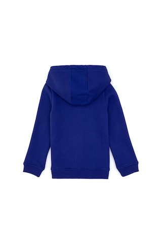 U.S. Polo Assn. Kız Çocuk Mor Kapüşonlu Fermuarlı Şardonlu Basic Sweatshirt 50316809-VR038