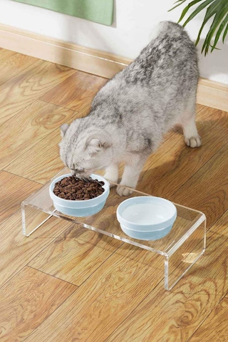 Gobypet 2'li Mavi Seramik Dekoratif Kedi Köpek Pleksi Mama & Su Kabı Paspas