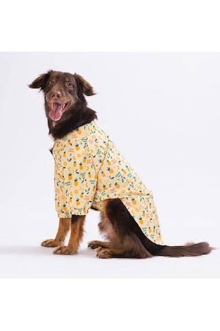 Pawstar Pineapple Büyük Köpek Gömleği Kıyafeti