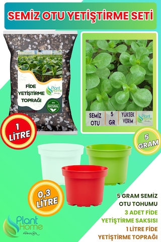 Semizotu Yetiştirme Seti Semizotu Tohumu + Cocopeat & Perlit Katkılı Fide Toprağı + Drenajlı Saksı