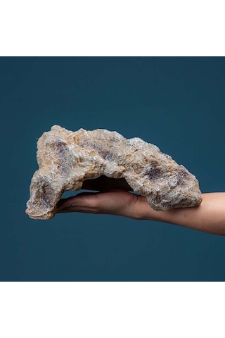 Sones L Sürüngen Simülasyonu Kayalar Saklanma Evi Kaplumbağa Şezlong