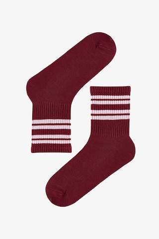 Penti Pembe Bordo Back Collage Çizgili Pamuklu 2 Çift Soket Çorap Pembe-bordo