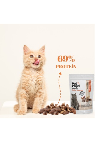 Petpops Tavuk Yürek Freeze Dry Kedi Ödül Maması 40 G
