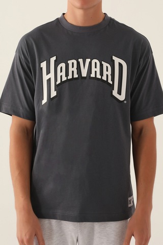 Harvard Cool Antrasit Erkek T-shirt 5274-42858 Antrasit