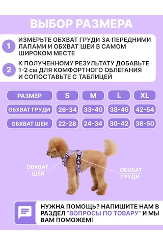 Tori Küçük Ve Orta Irklar İçin Tasmalı Köpek Kayışı Ve Kedi Şeridi 481276812