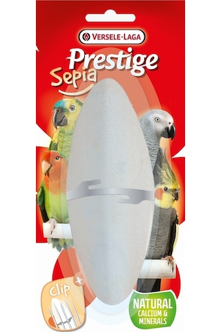 Verselelaga - 680 - Sepıa Mıneral16cm Mürekkep Balığı Kemık X - Cadde101 - 2 Adet