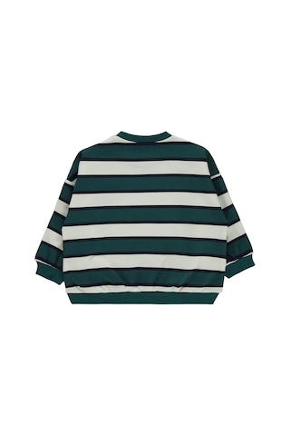 Civil Baby Çizgili 6-18 Ay Sweatshirt - Yeşil Zümrüt Yeşili