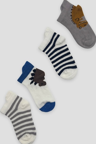 Defne Baby Erkek Bebek Ve Çocuk Karışık Desenli Premium Pamuklu Patik Çorap Seti Çok Renkli