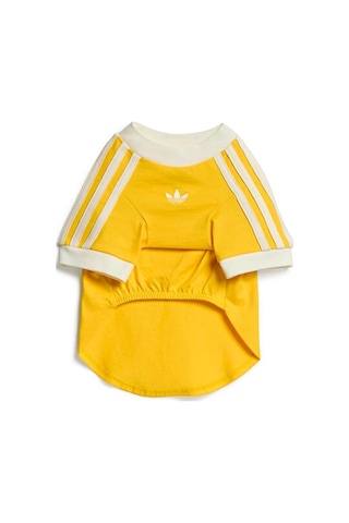 Adidas Pet Calı Tee Kedi-köpek Tişörtü Ky8731 Sarı