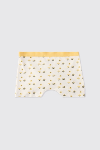 Panço Kız Çocuk 3'lü Boxer Seti Renkli
