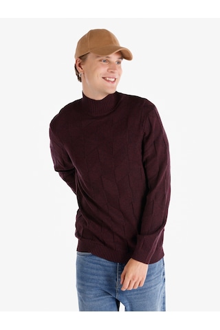 Colin's Colins Regular Fit Balıkçı Yaka Mor Erkek Kazak Cl1065745 Mor