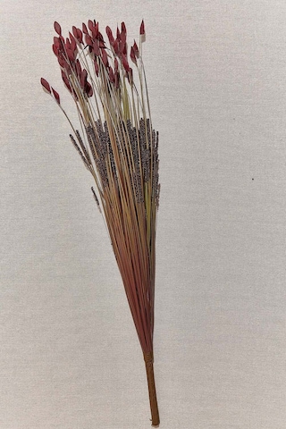 Pasabahce Grass 75 Cm Kırmızı - 1 Adet