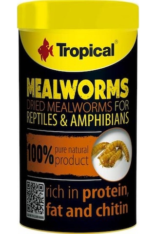 Tropical Meal Worms Kurutulmuş Un Kurdu 100 Ml / 13 Gr
